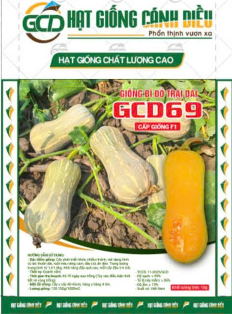 Hạt giống bí đỏ củ lạc Trái dài GCD 69